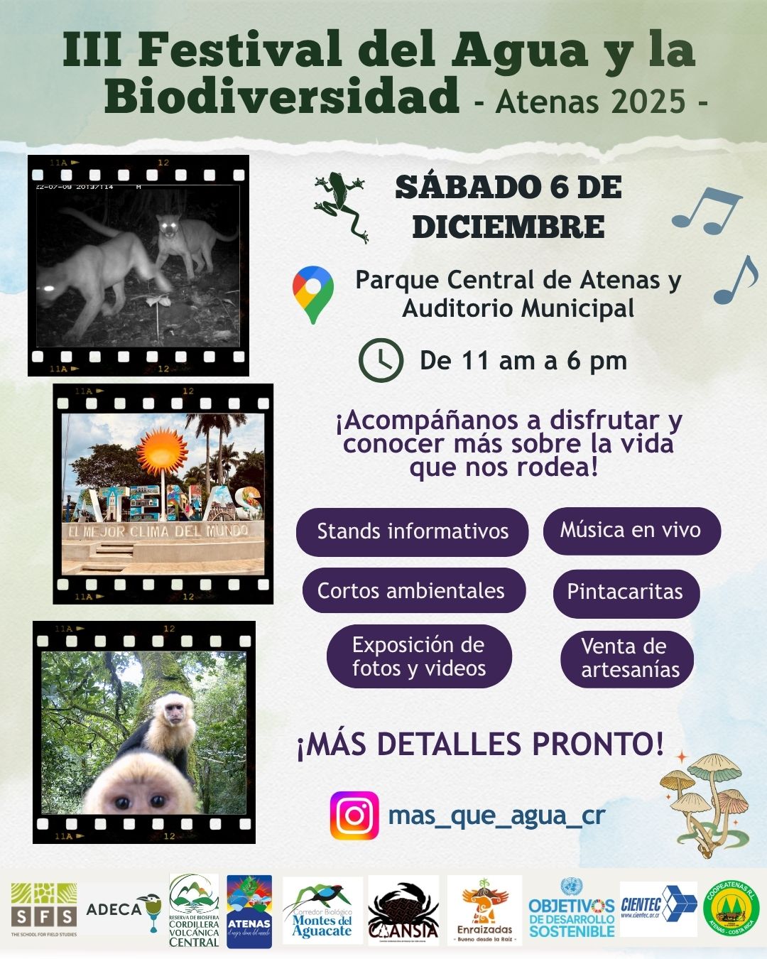 Anuncio del Festival del agua