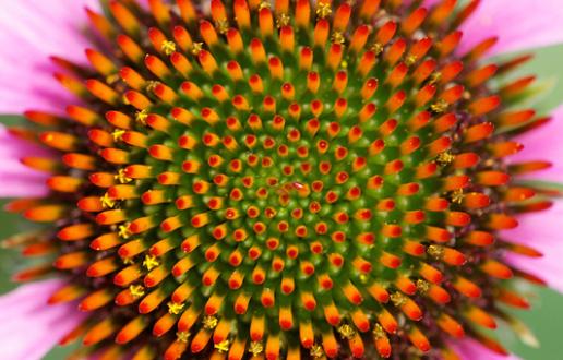 Matex1minuto: La geometría