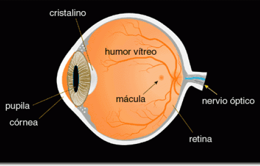 Proteja sus ojos del sol directo