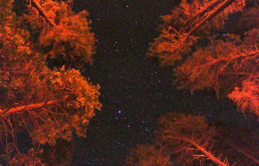 Matex1minuto: Escala de magnitud estelar