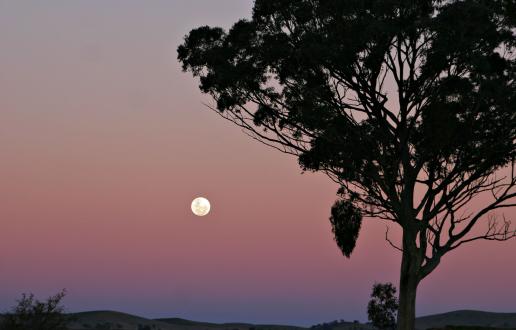 La Luna de la cosecha