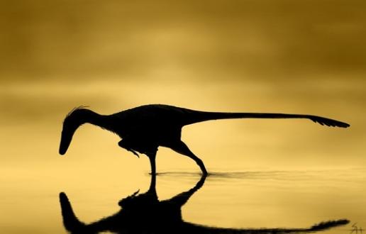 Matex1minuto: La duración del día