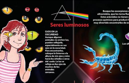 Seres luminosos