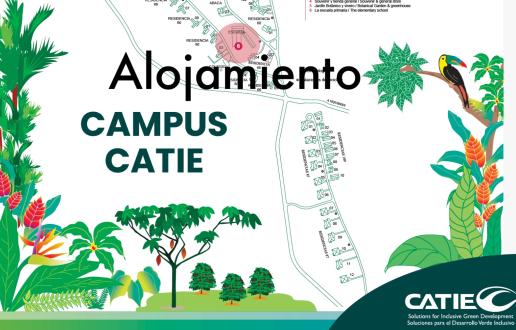 Alojamiento CATIE