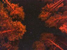 Matex1minuto: Escala de magnitud estelar