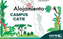 Alojamiento CATIE