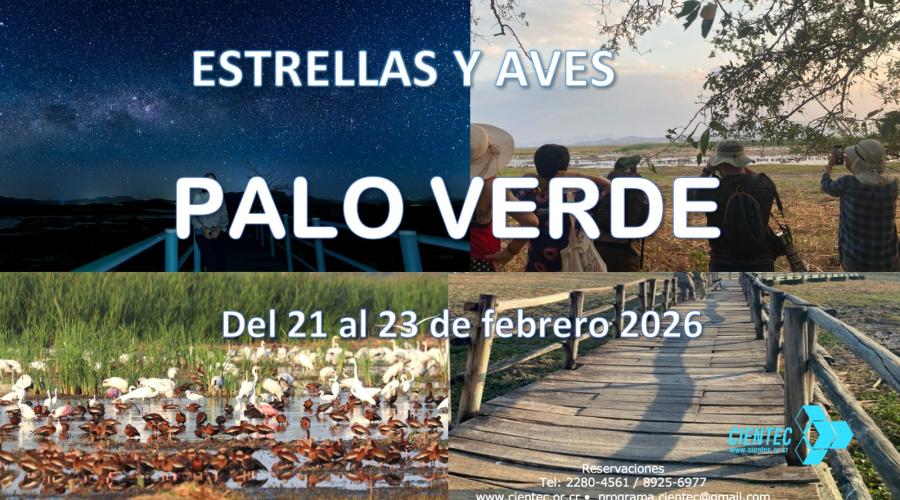 Anuncio Palo Verde 2026